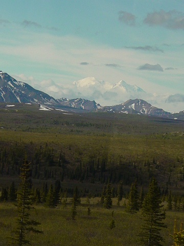 Denali 2005 (43)