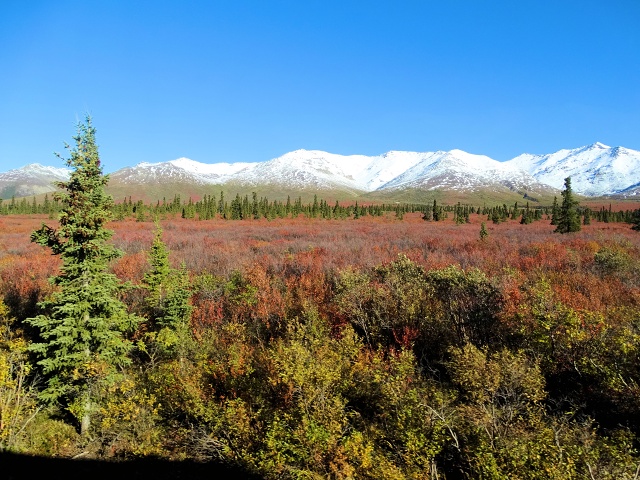 Denali 2014-10