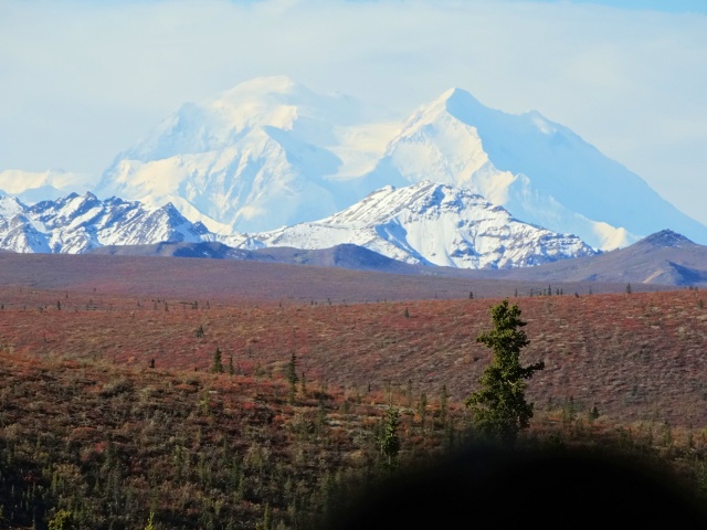 Denali 2014-17