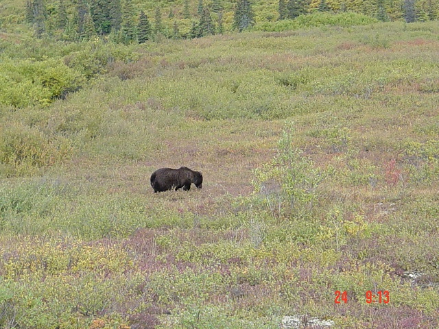 Kantishna-Fbks-AKrange0008