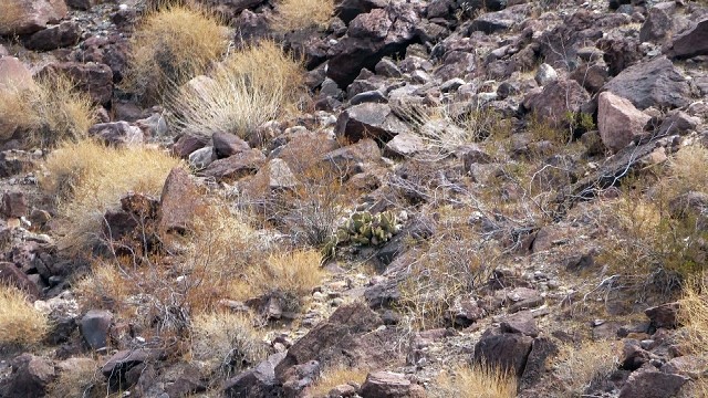 LV 0316 101 00022 - 439